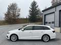 Skoda Octavia Combi 2,0 TDI Style DSG * 18-Zoll / AHK / Head-... Weiß - thumbnail 10