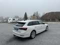 Skoda Octavia Combi 2,0 TDI Style DSG * 18-Zoll / AHK / Head-... Weiß - thumbnail 7