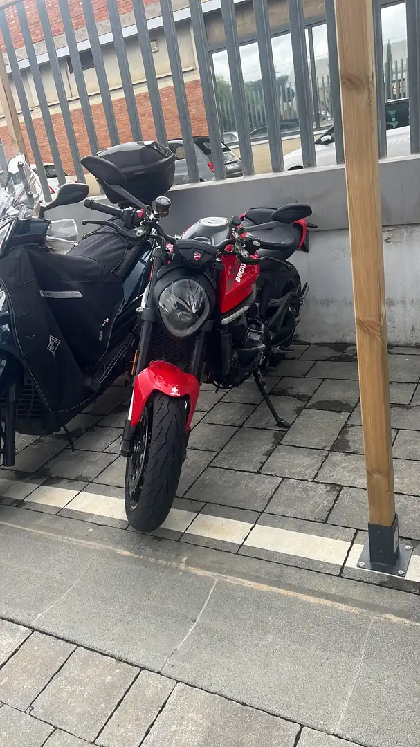 Ducati Monster 937 Rot - 1