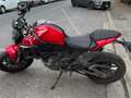 Ducati Monster 937 Rouge - thumbnail 2
