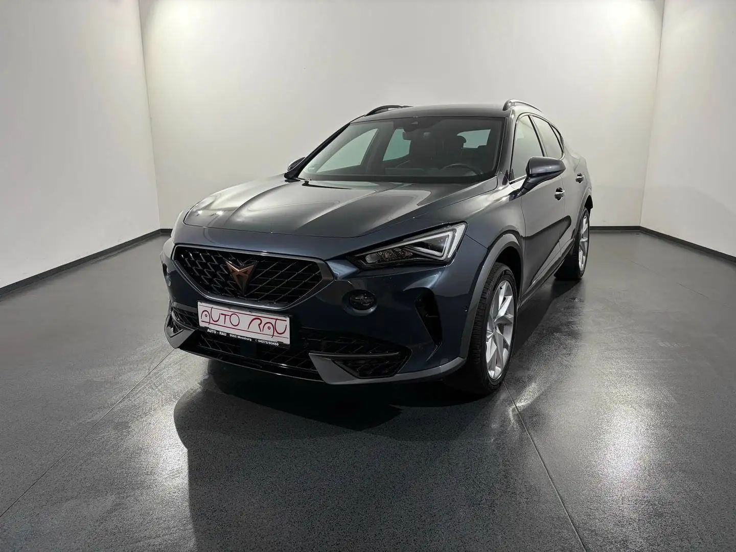 CUPRA Formentor 2.0 TDI 4Drive DSG *LED*ACC*NAVI* Grau - 2