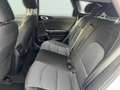 Kia Ceed SW / cee'd SW Vision 1.5T DCT7 Navi Kamera ACC Klima Spurhalteas Weiß - thumbnail 14