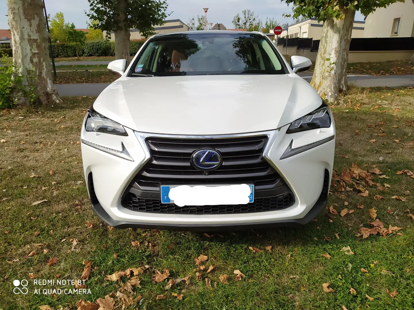 Lexus NX 300h NX 300h 4WD Executive E-CVT Blanc - 2