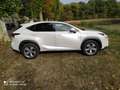 Lexus NX 300h NX 300h 4WD Executive E-CVT Blanc - thumbnail 1