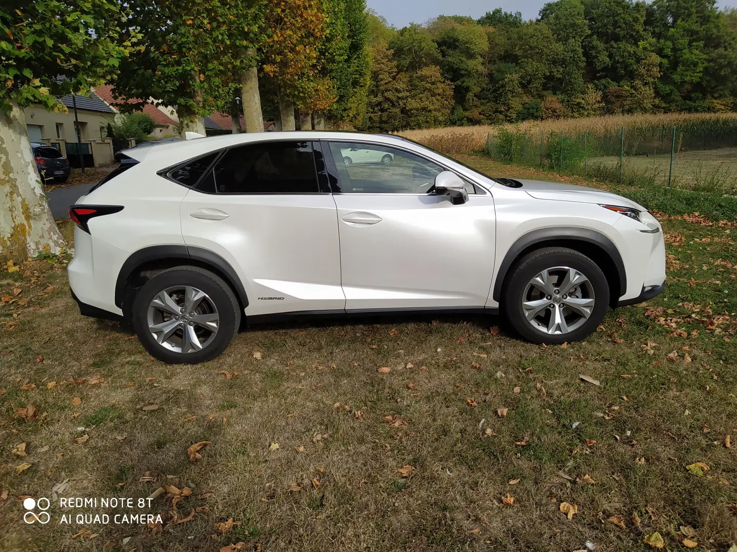 Lexus NX 300h NX 300h 4WD Executive E-CVT Blanc - 1