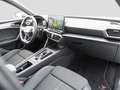 CUPRA Leon 2.0 TSI DSG VZ / Navi / LED / GRA / RFK Weiß - thumbnail 8
