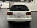 Audi A6 Avant 2.0 tdi ultra Business 190cv Weiß - thumbnail 6