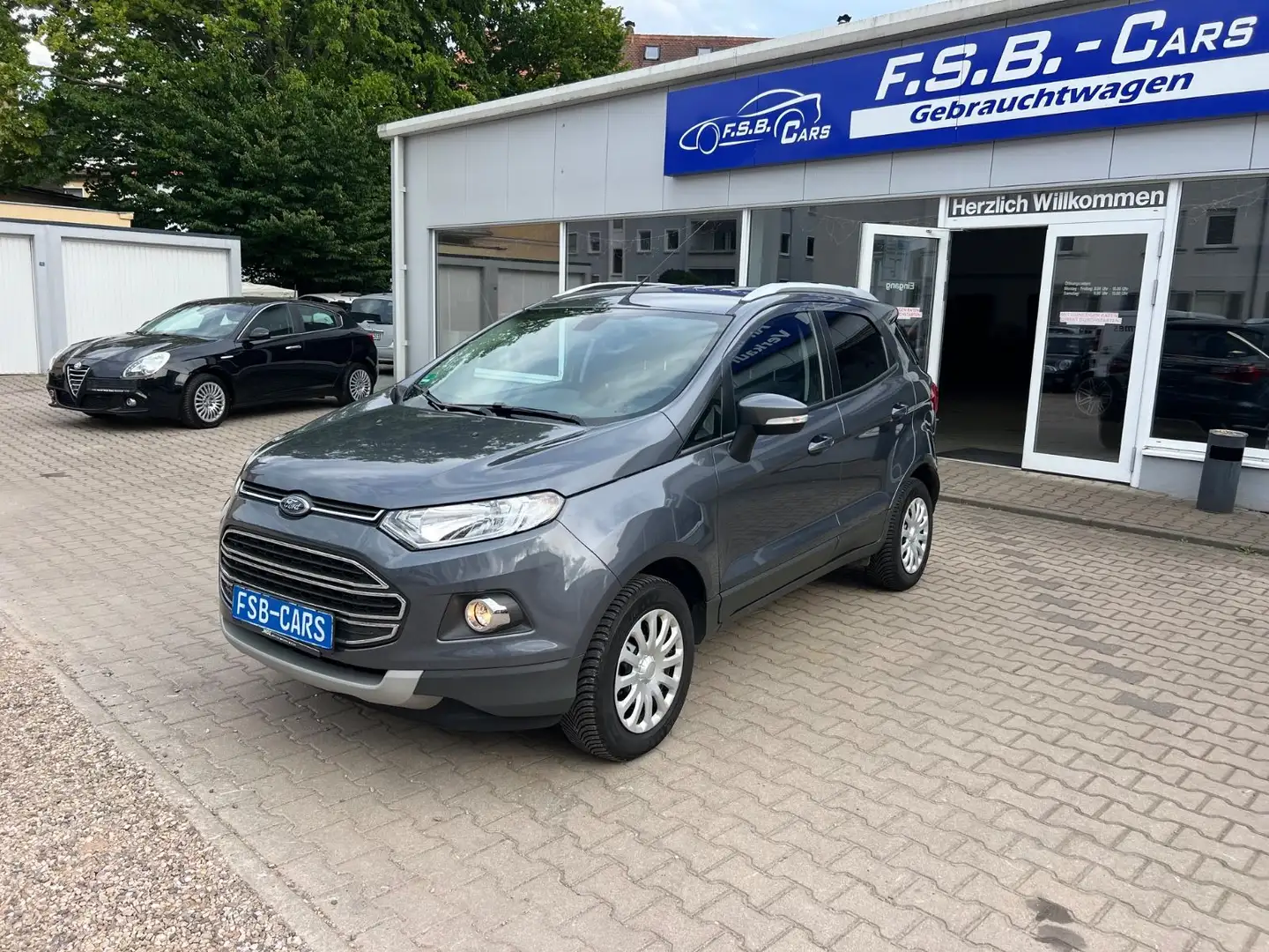 Ford EcoSport Titanium Grau - 2