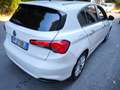 Fiat Tipo Tipo 1.4 5 porte Lounge Bianco - thumbnail 6