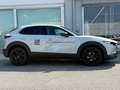 Mazda CX-30 CX-30 2.5 m-hybrid Homura 2wd 140cv 6mt Gris - thumbnail 2