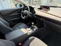 Mazda CX-30 CX-30 2.5 m-hybrid Homura 2wd 140cv 6mt Gris - thumbnail 3