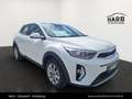 Kia Stonic /TITAN/1.2 DPI/MT5/84/P1/P2 Blanc - thumbnail 5