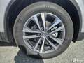 Renault Koleos 2.0 DCI 175 INTENS 4X2 BVA Grigio - thumbnail 24