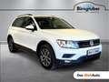 Volkswagen Tiguan Austria TDI SCR Weiß - thumbnail 1
