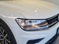 Volkswagen Tiguan Austria TDI SCR Weiß - thumbnail 7