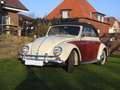 Volkswagen Käfer Cabrio mit Winkern aus Sammlerhand Белый - thumbnail 2