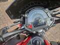 Kawasaki 900 Z Rouge - thumbnail 4