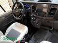VanTourer 600D FORD *FORD-Bonus* Grau - thumbnail 14