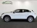 Porsche Cayenne S*LED-MATRIX*Navi*Leder*Panorama*AHK*360 Weiß - thumbnail 6