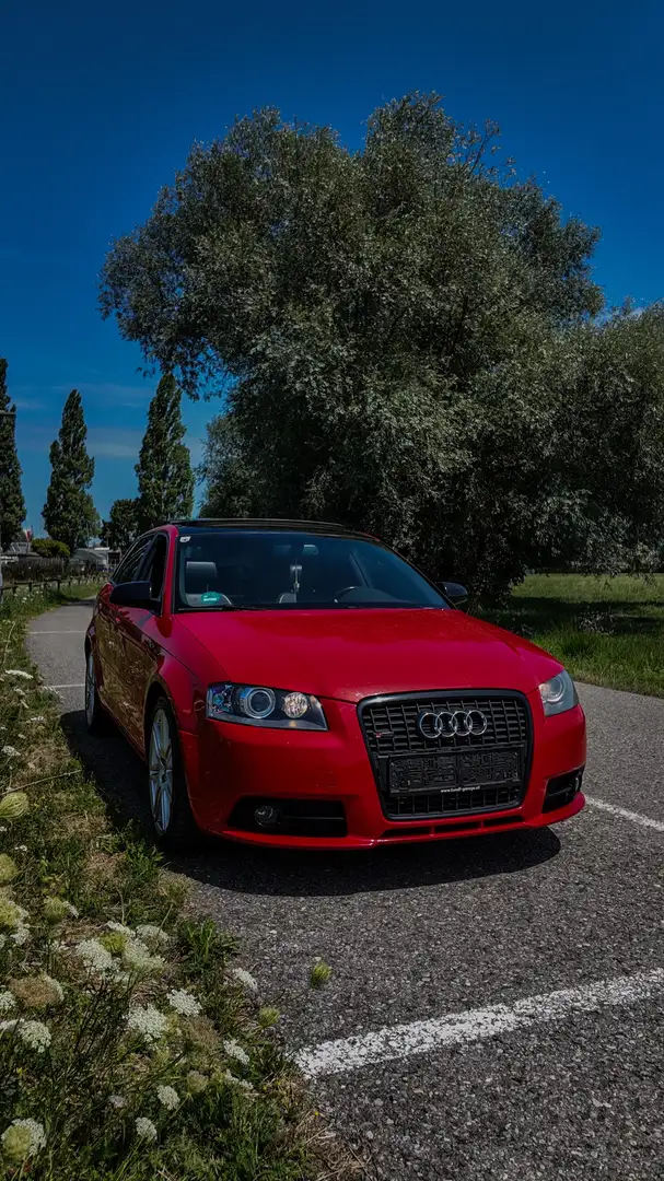 Audi A3 2,0 TDI 3x S-Line Rot - 1