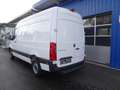 Mercedes-Benz Sprinter 317 CDI RWD 9G-Tronic L2H2 / AHK 3500 KG Weiß - thumbnail 8