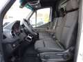Mercedes-Benz Sprinter 317 CDI RWD 9G-Tronic L2H2 / AHK 3500 KG Blanco - thumbnail 13
