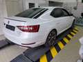 Skoda Superb 2.0 TDI DSG 4x4 Lim.SPORTLINE*STANDH*ACC* Weiß - thumbnail 3
