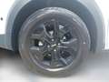 Dacia Sandero Stepway Extreme PH2 TCe 110 Weiß - thumbnail 11