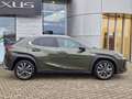 Lexus UX 300e UX 300h F Sport Design ACC FLA SpurH LED Verde - thumbnail 3