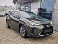 Lexus UX 300e UX 300h F Sport Design ACC FLA SpurH LED Verde - thumbnail 2
