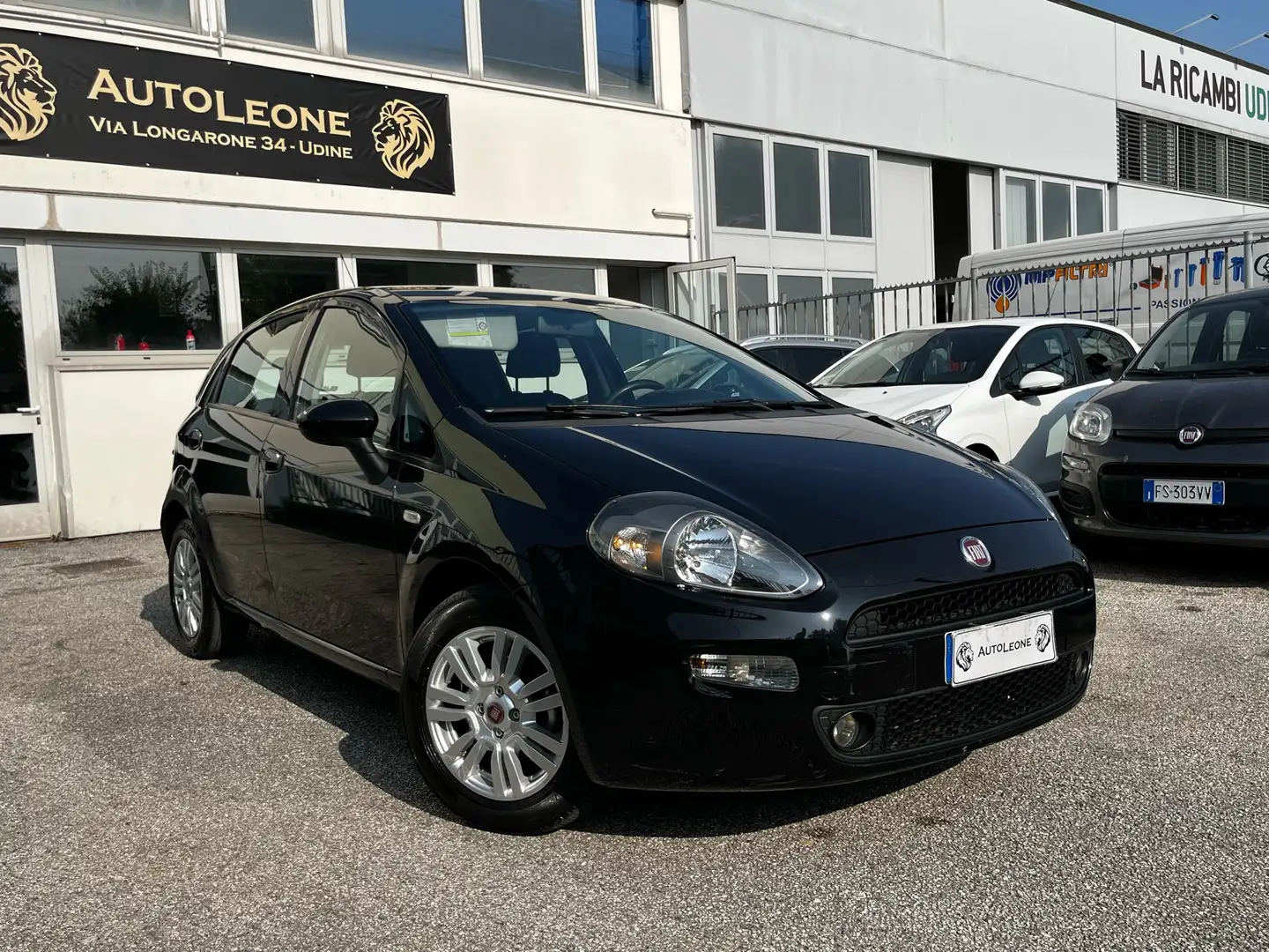 Fiat Punto 5p 1.3 mjt 16v Lounge 75cv “ CATENA SOSTITUITA - 1