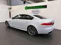 Jaguar XF R-Sport *MERIDIAN*NAVI*CAM*ACC*HUD*20 ZOLL* Weiß - thumbnail 4