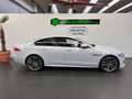 Jaguar XF R-Sport *MERIDIAN*NAVI*CAM*ACC*HUD*20 ZOLL* Weiß - thumbnail 3