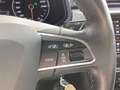 SEAT Ibiza 1.0TSI DSG Style Beats Fast Lane Grau - thumbnail 25