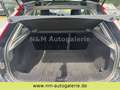 Ford Focus Lim. Ambiente*Tüv Neu* Gris - thumbnail 12