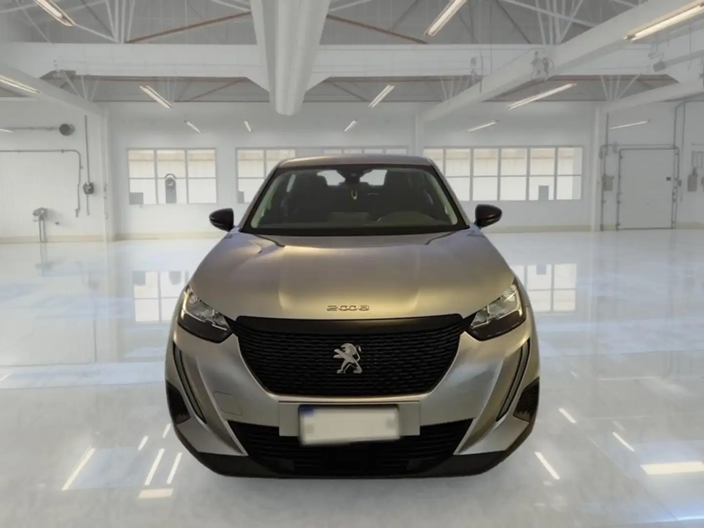 Peugeot 2008 BlueHDi 110 Active S/S - 2