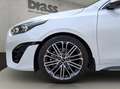 Kia ProCeed / pro_cee'd PROCEED 1.5 GT-Line elekt. Hecklappe elekt. Sitz Weiß - thumbnail 20