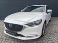 Mazda 6 4-Türer 2.5l Exclusive Bose Matrix-LED 360° Kamera Weiß - thumbnail 2