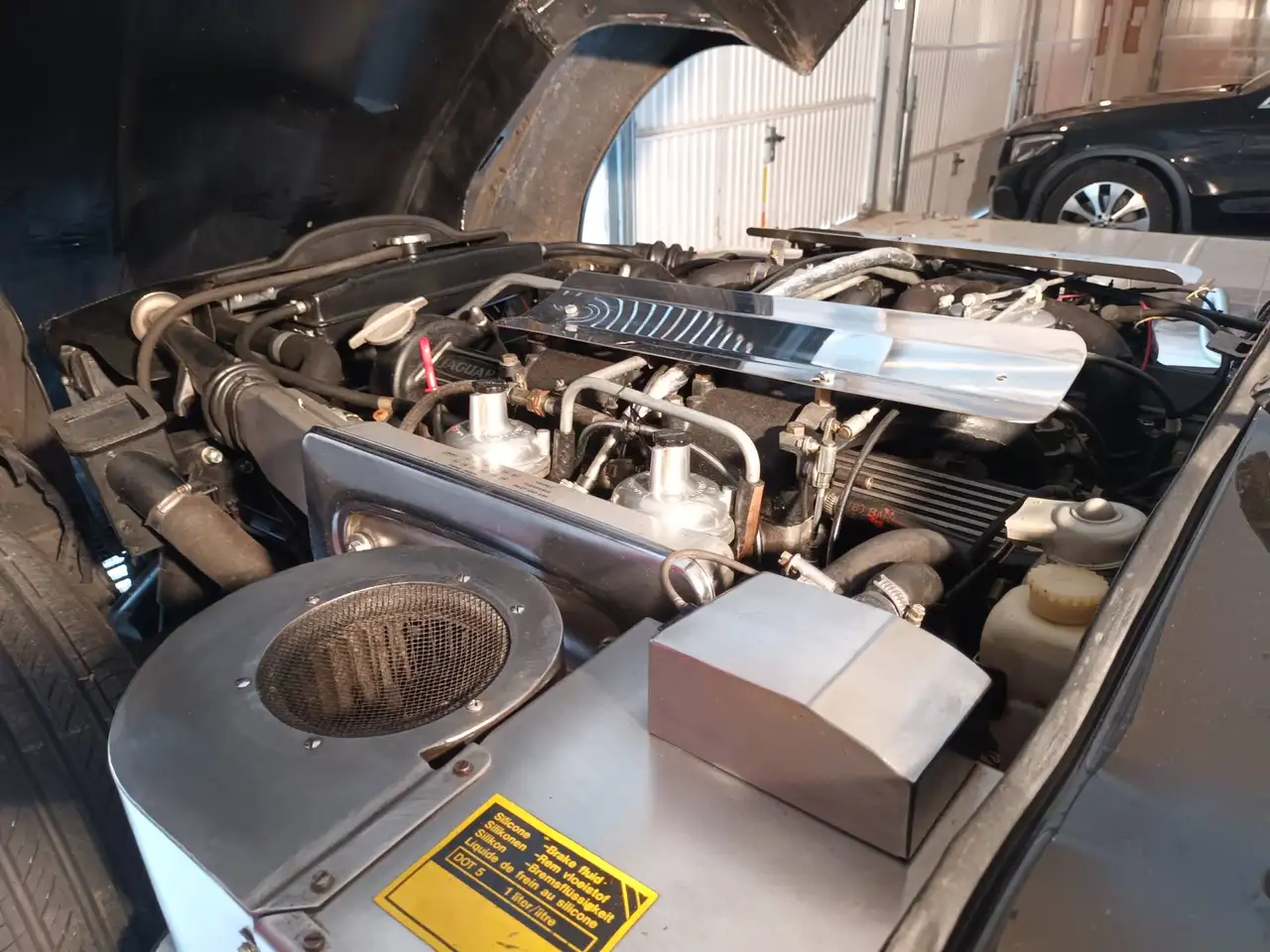 Jaguar E-Type V12 Roadster, foto 10