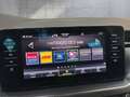 Skoda Kamiq MONTE CARLO TSI Grau - thumbnail 20