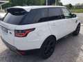 Land Rover Range Rover Sport 3.0 SDV6 HSE Dynamic 250 cv Bianco - thumbnail 10