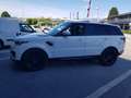 Land Rover Range Rover Sport 3.0 SDV6 HSE Dynamic 250 cv Bianco - thumbnail 11