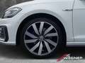 Volkswagen Golf VII GTE 1.4TSI Plug-In Hybrid DSG AHK Leder Kamera Wit - thumbnail 6