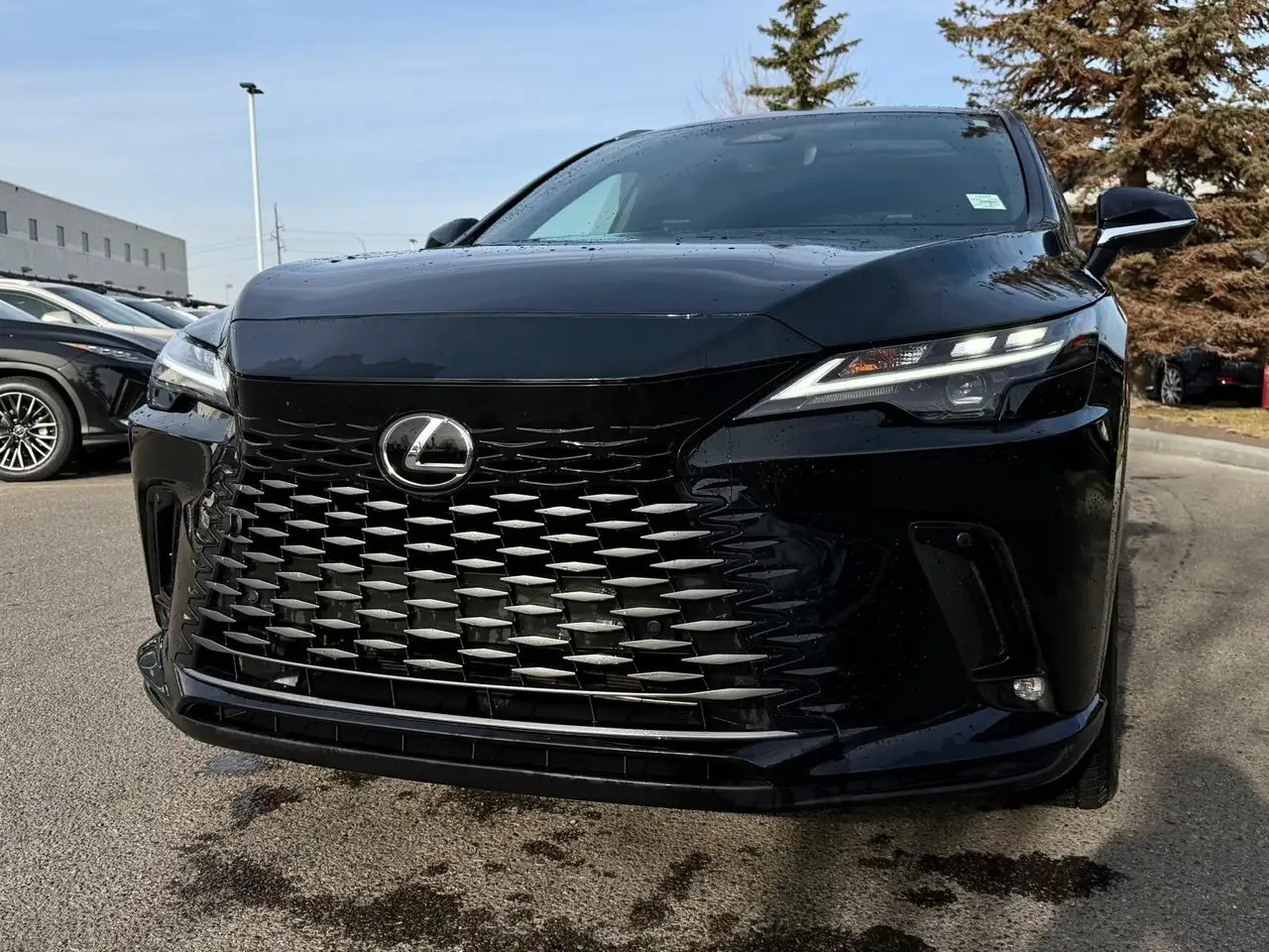 Lexus RX photo Lexus RX