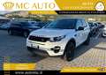 Land Rover Discovery Sport 2.0 TD4 150 CV HSE Luxury MOTORE rotto Bianco - thumbnail 3