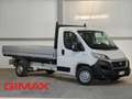 Fiat Ducato 35 2.3 MJT 130CV PL Cassone Aperto Wit - thumbnail 1