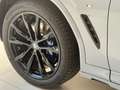 BMW X4 xDrive20d 48V Msport pro Grigio - thumbnail 6