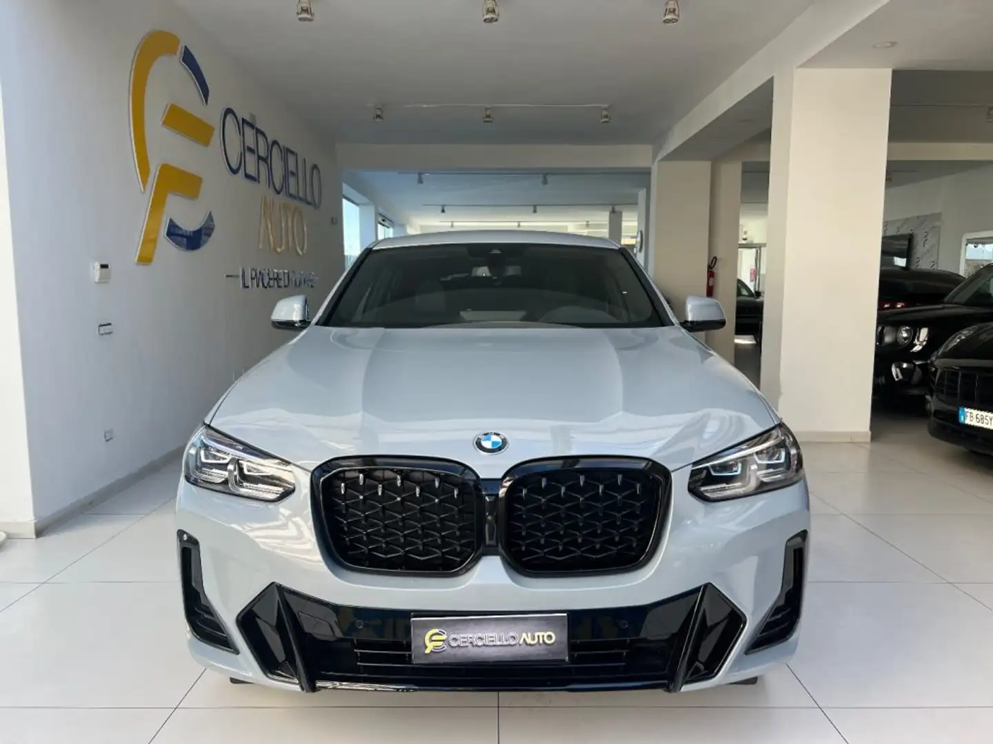 BMW X4 xDrive20d 48V Msport pro Grigio - 1