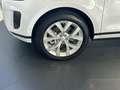 Land Rover Range Rover Evoque 2.0 D180 SE | 360° Camera | Keyless-Entry | Panora Wit - thumbnail 20
