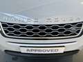Land Rover Range Rover Evoque 2.0 D180 SE | 360° Camera | Keyless-Entry | Panora Wit - thumbnail 21